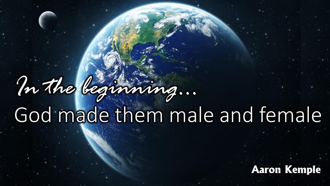 In the beginning God made them Male and Female (presented August 15, 2021 by Aaron Kemple)