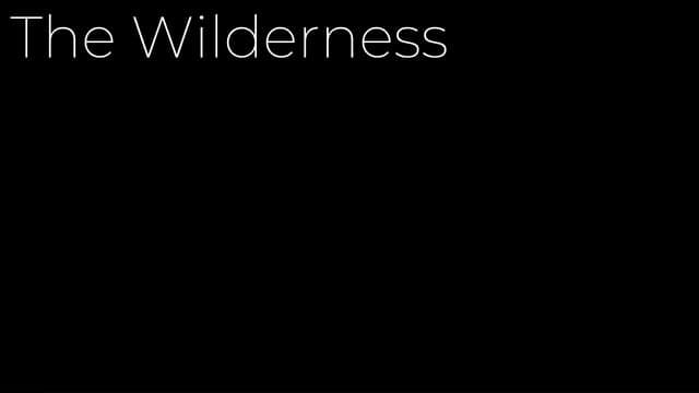 The Wilderness (Reuben Prevost)