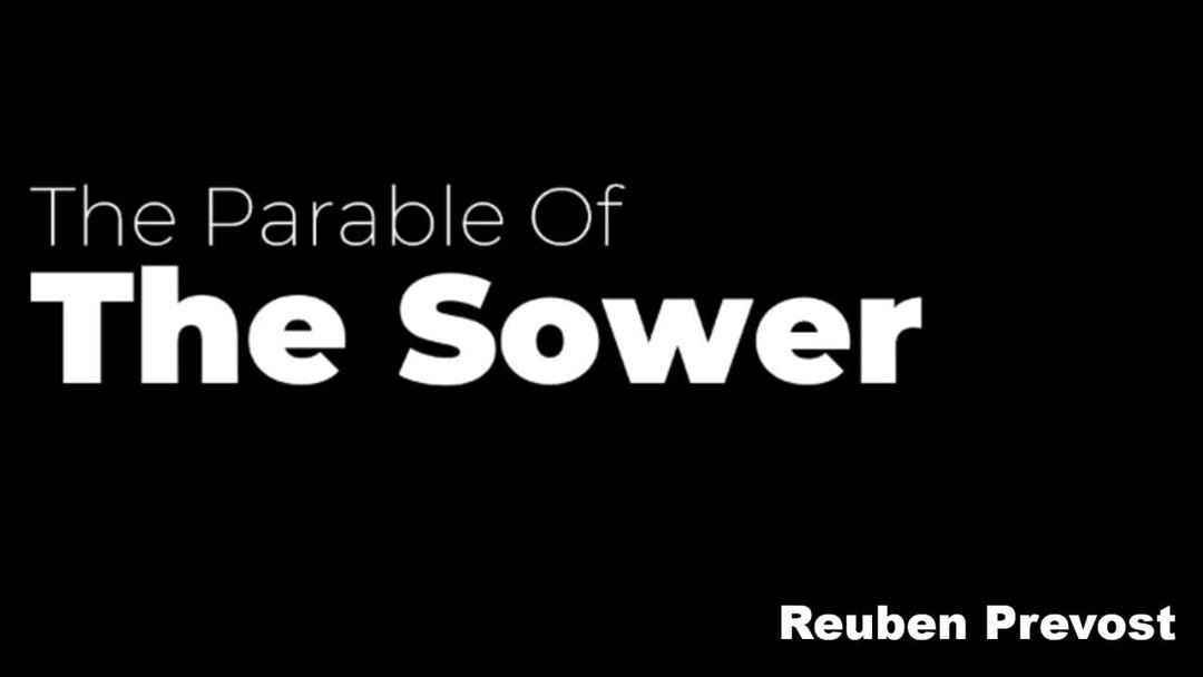 The Parable of the Sower (Reuben Prevost)