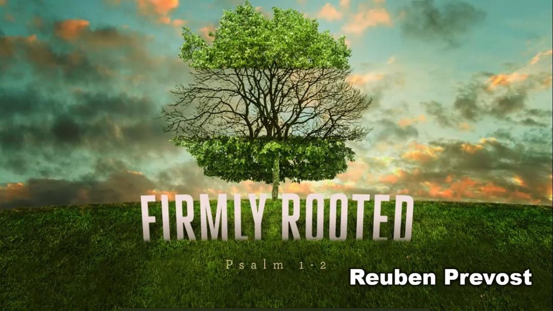 Firmly Rooted (Reuben Prevost)