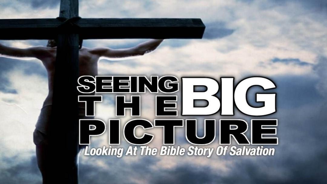 Seeing The Big Picture (Max Dawson)