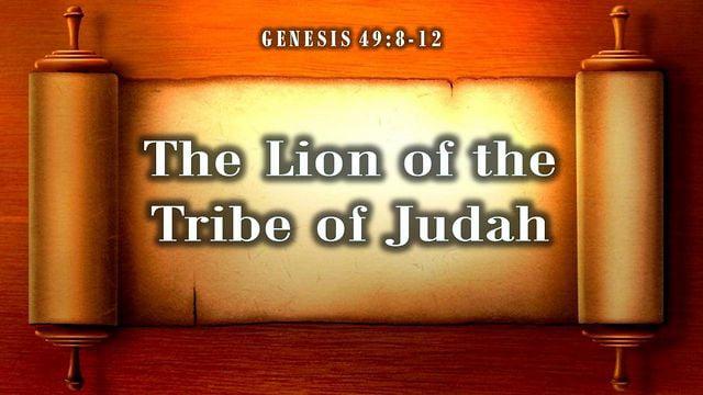 The Lion of the Tribe of Judah (Max Dawson)