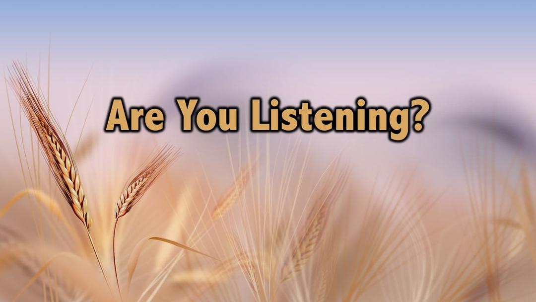 Are You Listening? (Kris Emerson)