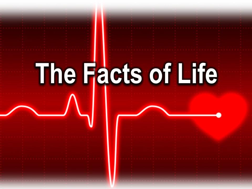 The Facts of Life (Benjamin Lee)