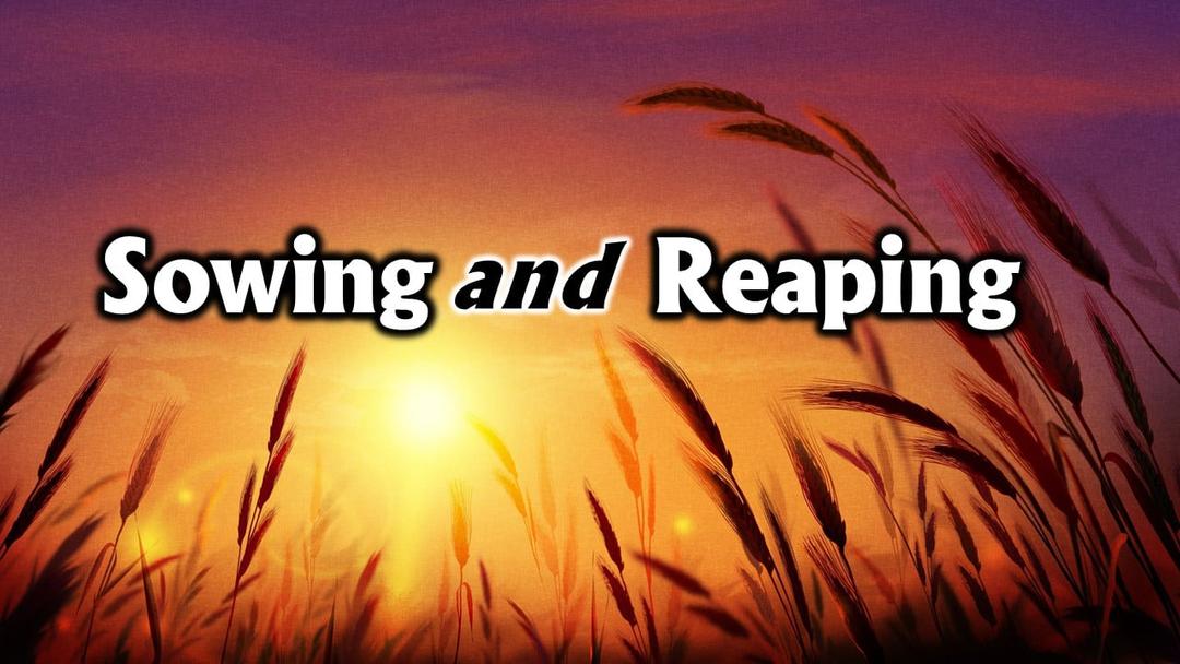 Sowing and Reaping (Benjamin Lee)