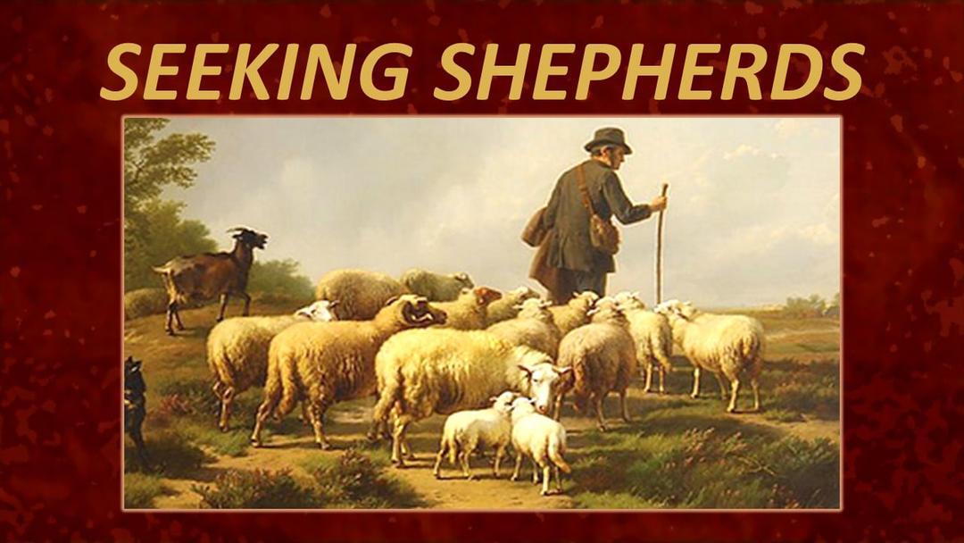 Seeking Shepherds (Max Dawson)