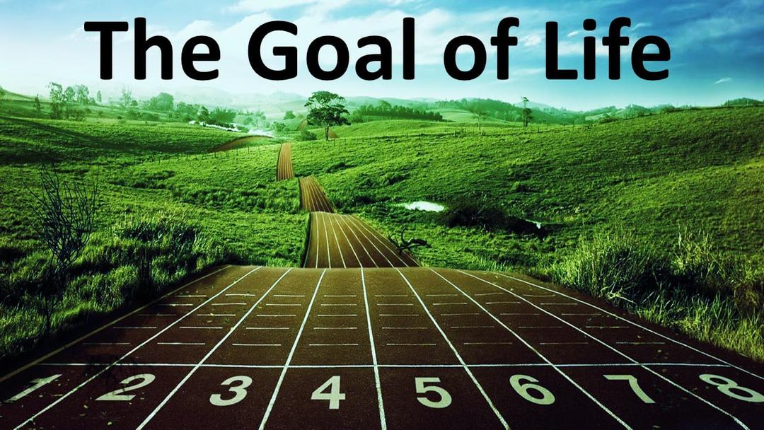 The Goal of Life (Kris Emerson)