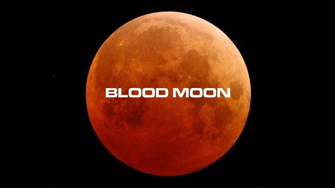 Blood Moons (Max Dawson)