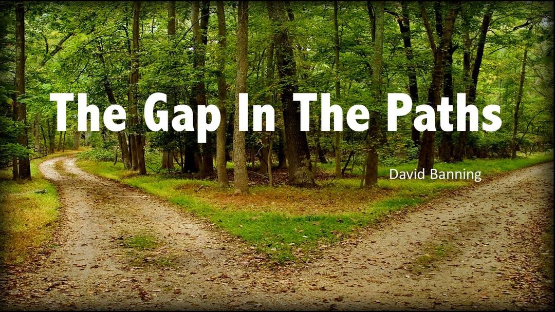 The Gap In The Paths (David Banning)