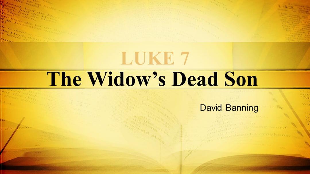 The Widow's Dead Son (David Banning)