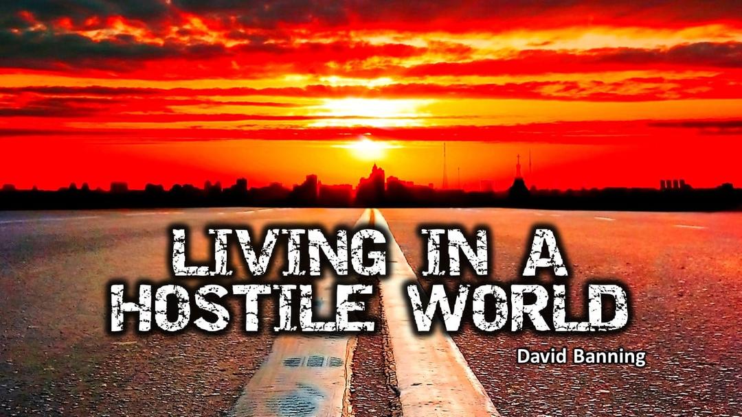 Living in a Hostile World (David Banning)