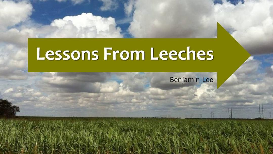 Lessons from Leeches (Benjamin Lee)