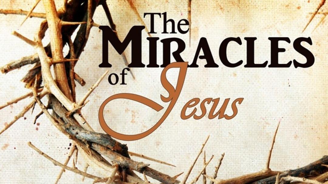 The Miracles of Jesus (Benjamin Lee)