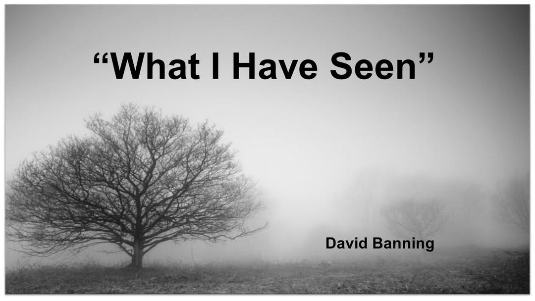 What I Have Seen (David Banning)