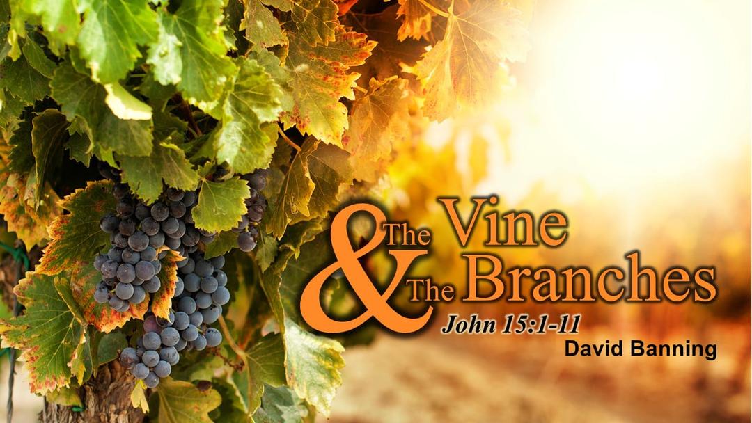 Connected to Jesus (David Banning)